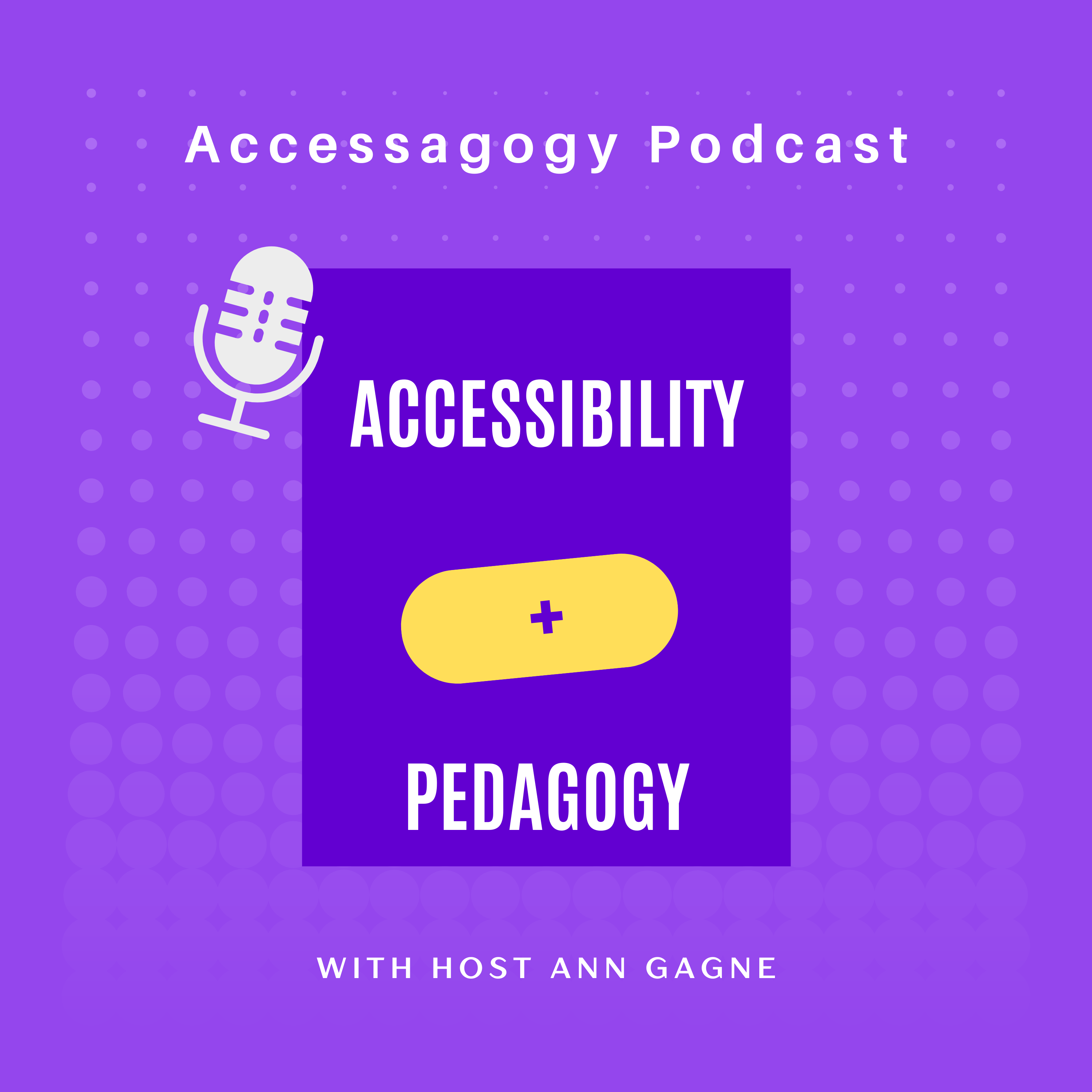 Accessagogy Artwork