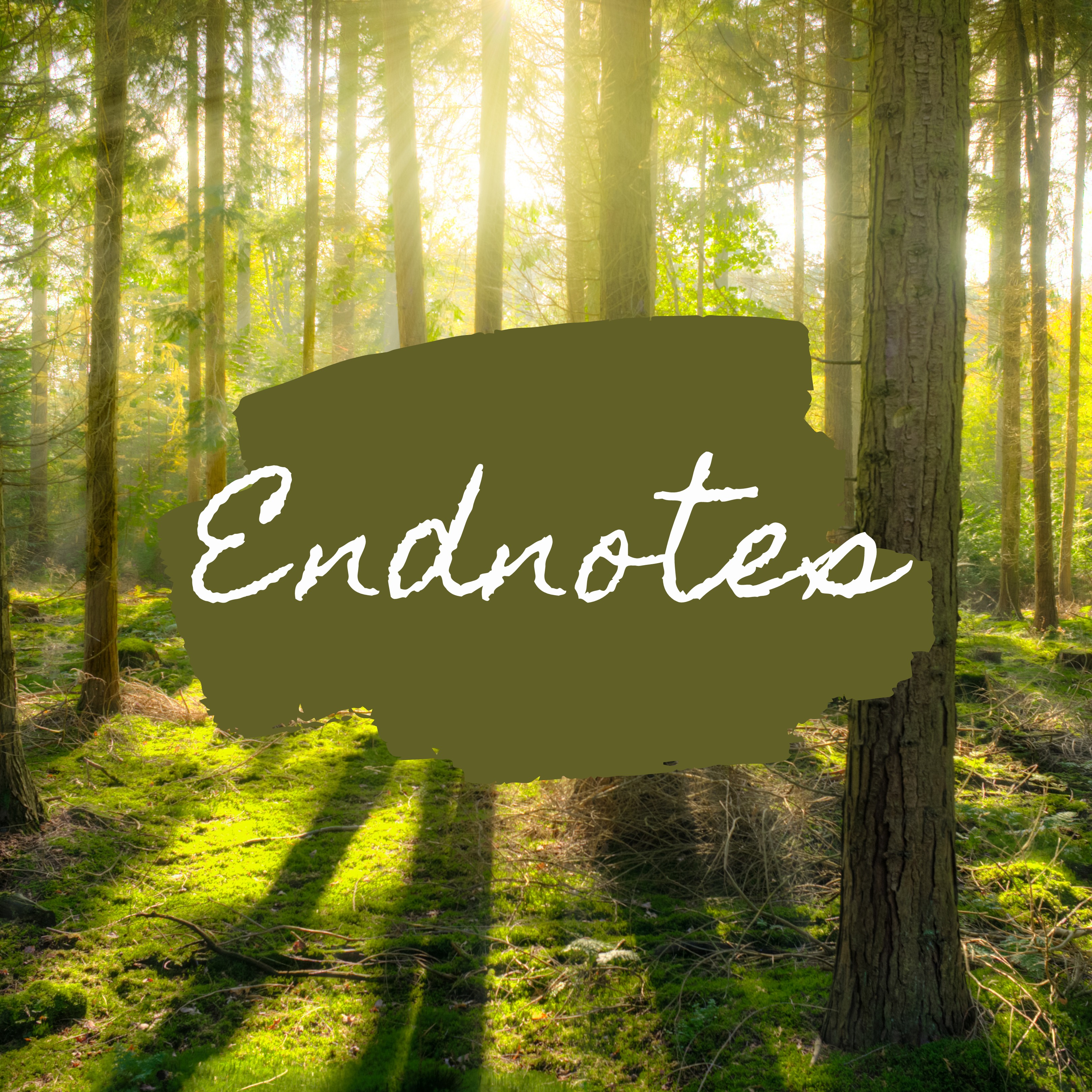 Endnotes – Introduction