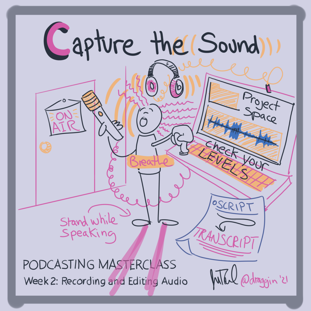 The title of this doodle reads, "Capture the sound." The cartoon person is in a recording studio and the text reads: "On air; project space; check your levels; use script; create transcript; breathe, and stand while speaking."